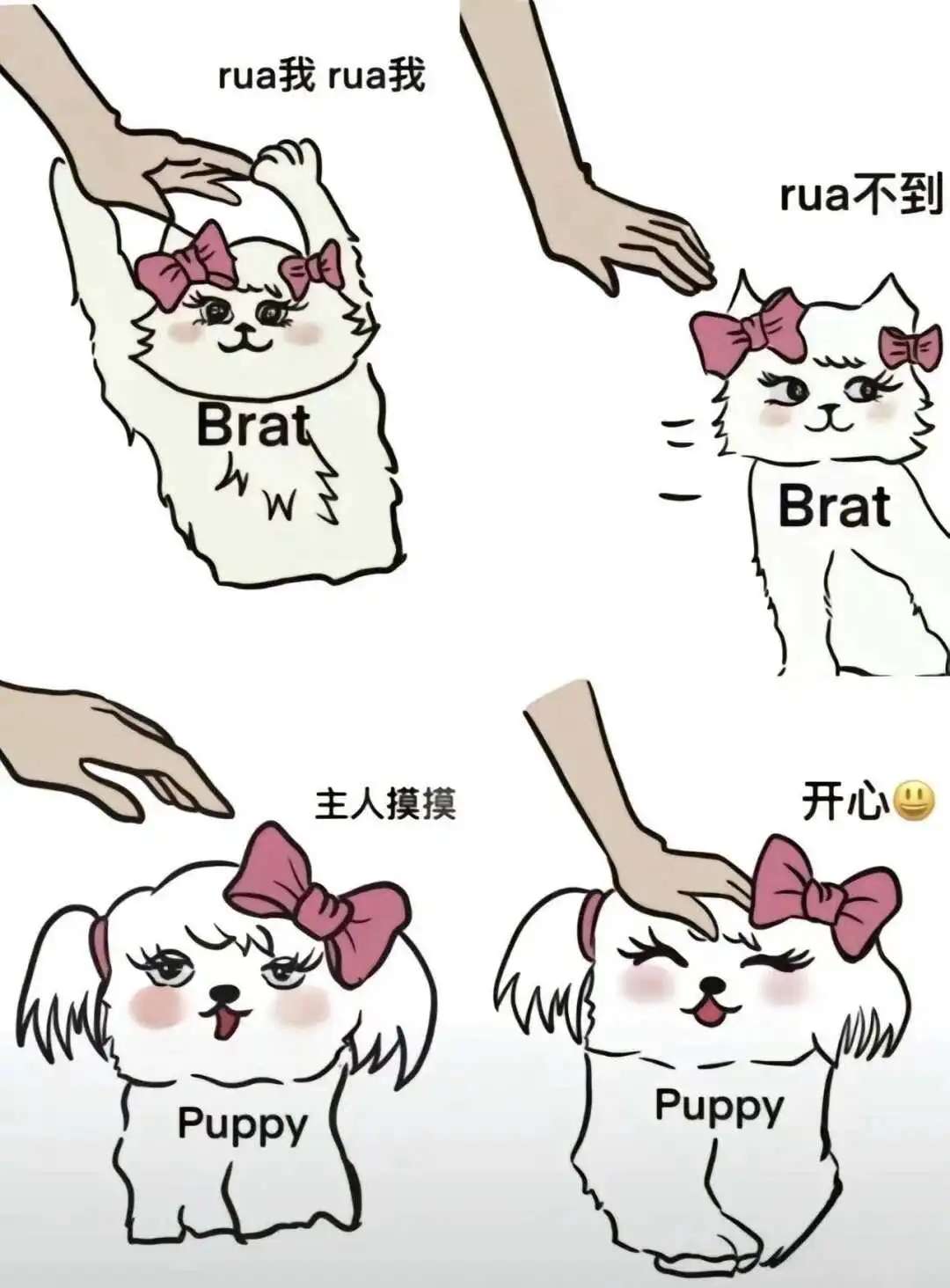 西檬之家字母圈新人如何安全入圈?详解实用技巧与注意事项 一