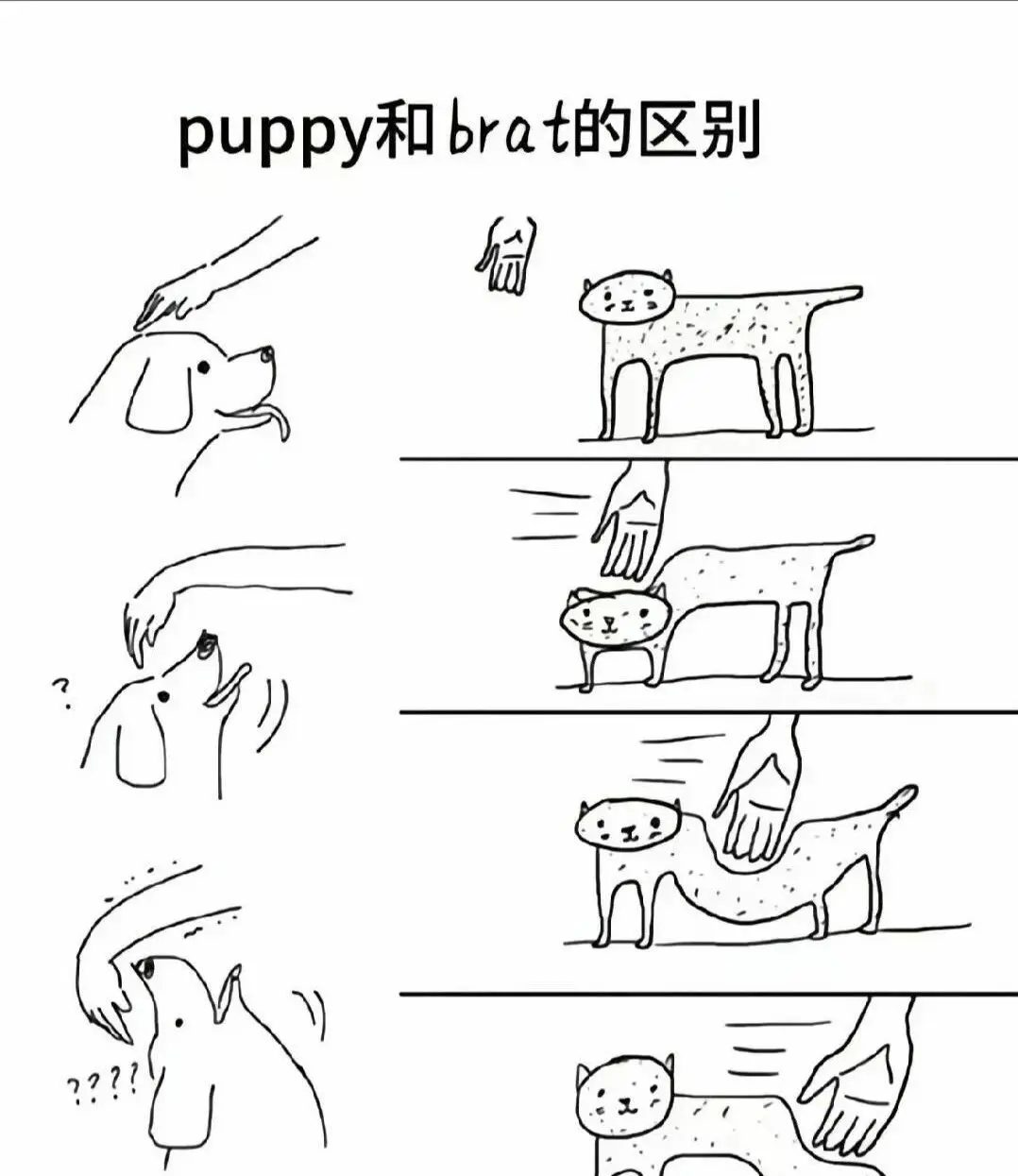 西檬之家2025年SM亚文化发展趋势分析 一