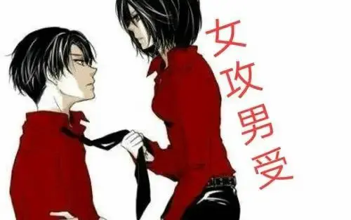 西檬之家字母圈Switch角色解析与实用技巧 一