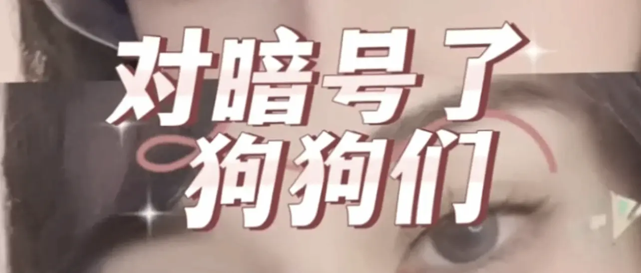 西檬之家k9是什么?字母圈新手必读指南! 一