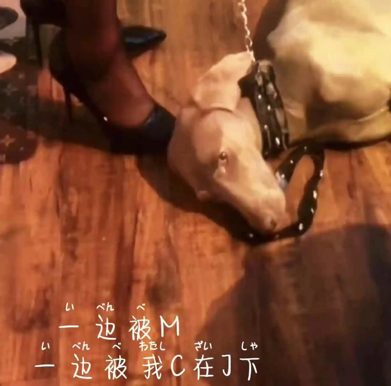 西檬之家-字母圈k8是什么? 一