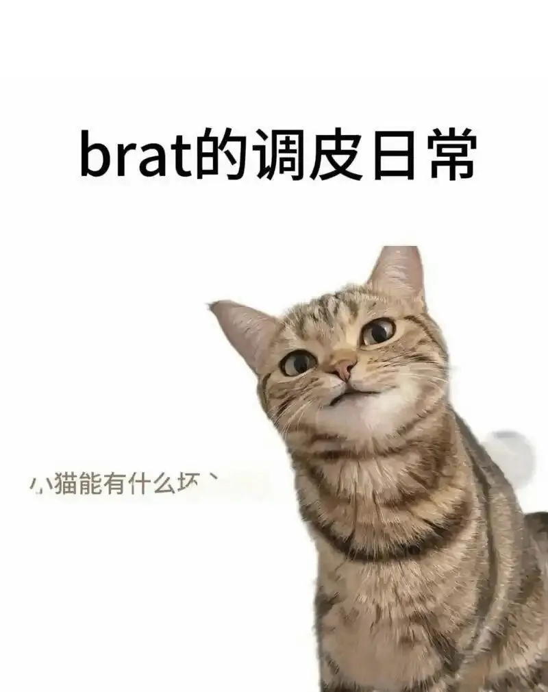 西檬之家字母圈DS关系核心是什么? 一