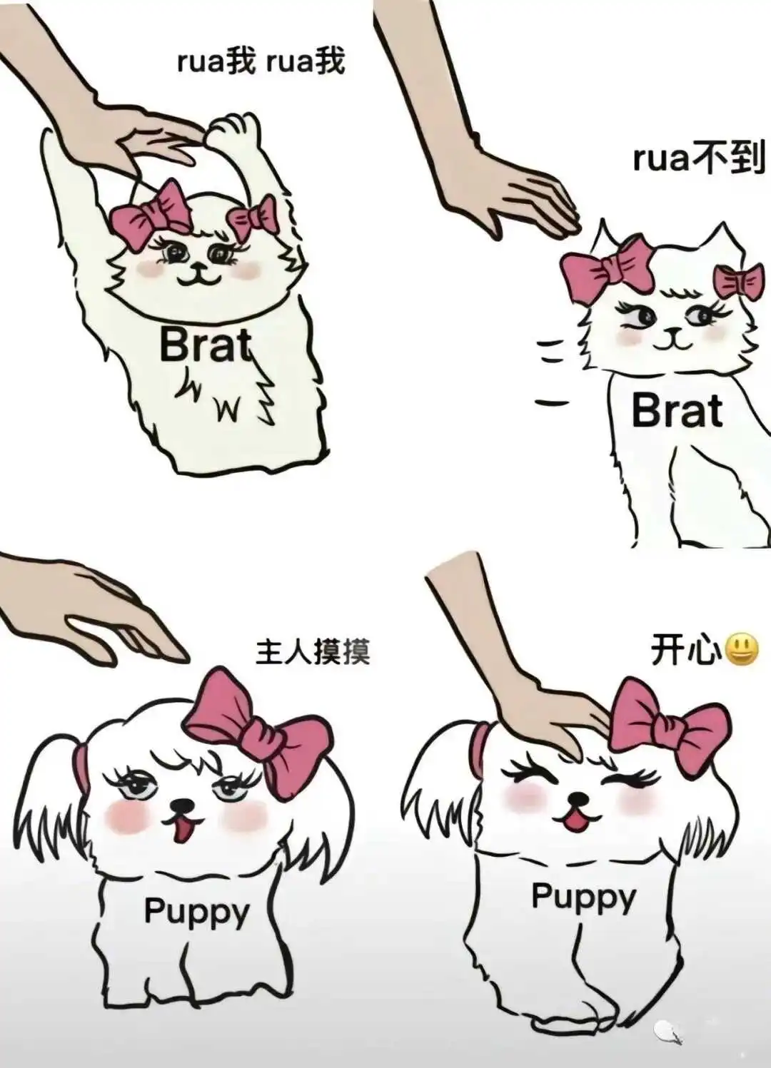 西檬之家字母圈k8猫系攻略 一
