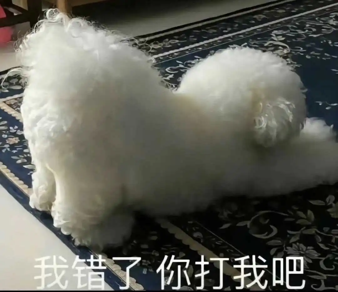 西檬之家SP小圈是什么?管教与惩罚的玩法与边界 一