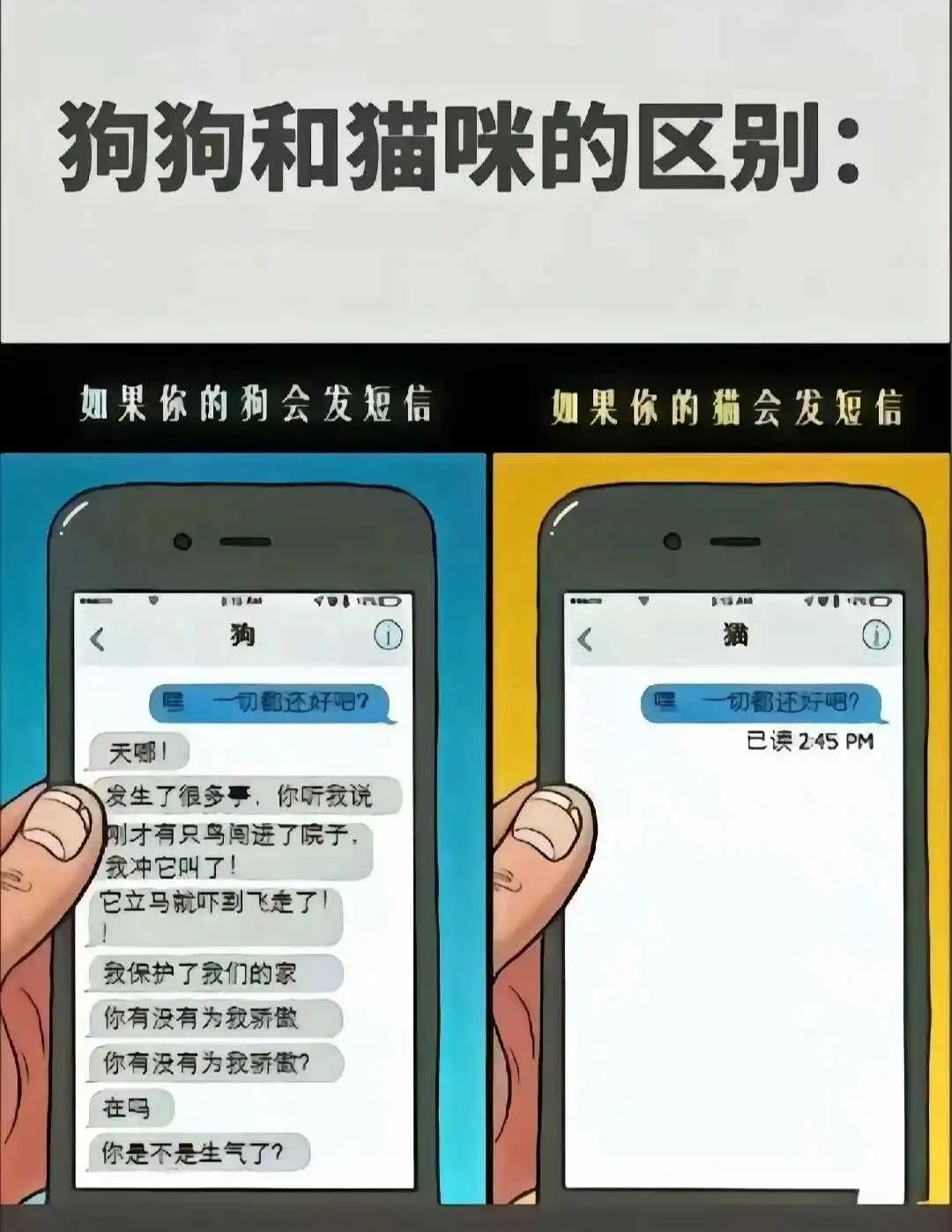 西檬之家字母圈k9犬系是什么意思? 一