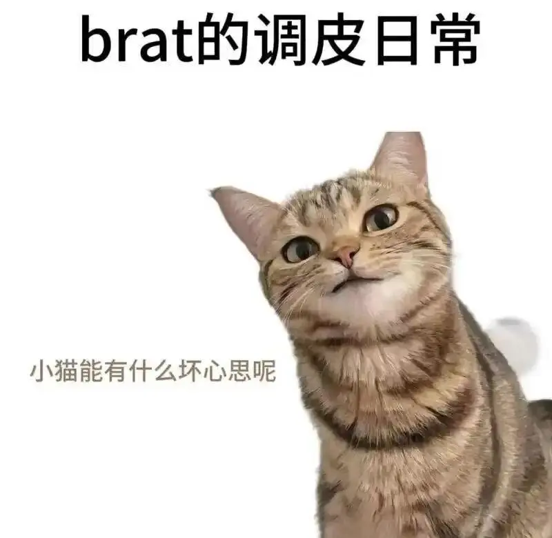 【西檬之家】字母圈新人入门:BDSM核心术语与SSC原则
在探索人类多样性及性文化的领域中,BDSM(绑缚与调教、支配与臣服、施虐与受虐)作为一种基于同意与信任的实践模式,正逐渐获得更客观的社会审视。对于初次接触这一领域的“新人”而言,厘清其底层逻辑不仅是规避风险的关键,亦是建立健康互动关系的基石。本文旨在基于“安全、理智、知情同意”的SSC原则,对字母圈的核心概念与规范进行权威解析。
一、 基础概念与伦理框架
理解字母圈,需首先明确其核心定义及与“大圈”相关的理论基础。
1. **BDSM与斯慕圈的定义**
* **BDSM**:这一名词涵盖了三种主要的行为模式:绑缚与调教(B/D)、支配与臣服(D/S)以及施虐与受虐(S/M)。它强调的是一种综合性的心理探索与生理互动,往往在双方自愿的前提下进行。
* **斯慕圈**:是“Sadomasochism”(施虐与受虐)的中文简称。它特指通过接受或施加痛感、羞辱或权力控制机制来获取心理满足或快感的倾向。需要注意的是,斯慕圈并不等同于无端的暴力或色情,其本质是成年人之间的一种基于契约与信任的权力游戏。
2. **权力交换(PE)与SSC原则**
* 在BDSM实践中,**权力交换(PE)**是一个核心机制。它指的是双方在清醒、自愿且安全的前提下,有边界地让渡特定决策控制权。这并非单向的奴役,而是一种双向的契约关系;支配方需承担引导与尊重的责任,被支配方则让渡控制权并预留随时喊停的权利。
* **SSC原则**(安全、理智、知情同意)是所有字母圈活动的最高伦理准则。它要求实践者在决策时必须确保不对身体或心理造成不可逆的伤害(安全),保持冷静理智的认知(理智),并确认双方在完全知情下达成一致(知情同意)。
二、 关键角色解析
字母圈中存在丰富的角色称谓,厘清其细微差异对新人至关重要。
1. **支配与臣服关系**
* **Dom(支配者)**:全称Dominant,是关系中的主导方。其核心在于通过心理引导建立控制感,而非单纯的肉体施压。Dom强调的是精神层面的主导地位与互动的和谐。
* **Sub(服从者)**:全称Submissive,是关系中的跟随方。Sub让渡部分掌控权以换取心理上的归属感与被认可的价值。与单纯的受虐者不同,Sub更看重精神层面的臣服与互动的深度。
* **DS(Dominance & Submission)**:代表支配与臣服模式。它侧重于心理层面的权力交换与信任建立,涉及命令、服从与互动,常被称为“调心”。
2. **施虐与受虐关系**
* **S(施虐者)**:全称Sadism,指通过施加肉体或精神痛苦以获得满足的一方。S的互动常涉及羞辱或剧烈的感官控制。
* **M(受虐者)**:全称Masochism,指通过接受控制、痛感或刺激以获得满足的一方。M的兴奋源多来自生理感知或掌控感的让渡。
* 需要注意的是,Dom/S为角色属性,对应S/M为行为倾向;DS(支配臣服)与SM(施虐受虐)在概念层级上是有所区分的,前者偏重关系,后者侧重行为快感。
三、 常见实践与术语
理解常见的实践方式与词汇,有助于新人进行更精准的沟通。
* **常规互动**
* **SP(Spanking)**:即打屁股,是常见的轻度互动。主导方称为主或“Z”,接受方称为“B”。
* **OTK**:Over The Knee的缩写,指跨膝惩戒。这是一种仪式化的拍打姿势,强调权力交换与羞耻感管理。
* **BD(Bondage)**:绑缚。指使用绳索、镣铐等限制他人行动的实践,需严格遵循安全原则。
* **特殊偏好与角色**
* **Fetish(恋物)**:指对特定物体(如皮衣、鞋履)或身体部位产生强烈情欲偏好,通常不必然涉及支配与服从关系。
* **Brat**:Sub的一种亚型,性格调皮、喜欢故意违抗命令以寻求关注与被征服。
* **K8/K9**:分别代表猫系与犬系的角色扮演。K8强调傲娇与情趣,K9强调绝对服从与忠诚。
* **DDLG**:Daddy Dom与Little Girl的交叉关系,指成年人之间的亲子角色扮演,侧重情感依赖与照顾,非真实血缘。
* **概念细分**
* **大圈**:泛指BDSM/SM的主要文化圈子,包含BD、DS、SM等多种形式。
* **小圈**:特指以SP打屁股为核心的亚文化分支,常带有管教与安抚色彩,不刻意追求性接触。
* **圣水**:在某些特定教化或仪式玩法中,指代尿液,需严格置于知情同意与卫生安全框架内。
四、 安全与沟通指南
无论参与何种形式的互动,安全词与契约精神是防线。
1. **安全词机制**
* **安全词**是预先确定的关键词或暗号。在互动过程中,一旦说出此词,意味着参与者希望立即终止活动。它确保了即使处于高度兴奋或受控状态下,当事人仍拥有随时撤出的权利。
2. **管教的边界**
* 在“管教”及小圈实践中,需明确这是基于双方自愿的模拟情境,旨在规则训练与心理满足,切不可跨越至现实生活中的暴力管控或侵犯。
结语
字母圈是一个建立在高度信任与尊重基础上的文化社群。对于新人而言,最重要的是保持理性,明确自我界限,并始终将SSC原则作为行动红线。只有在安全与信任的底色之上,探索与体验才能成为健康的心理与情感实践。 一
